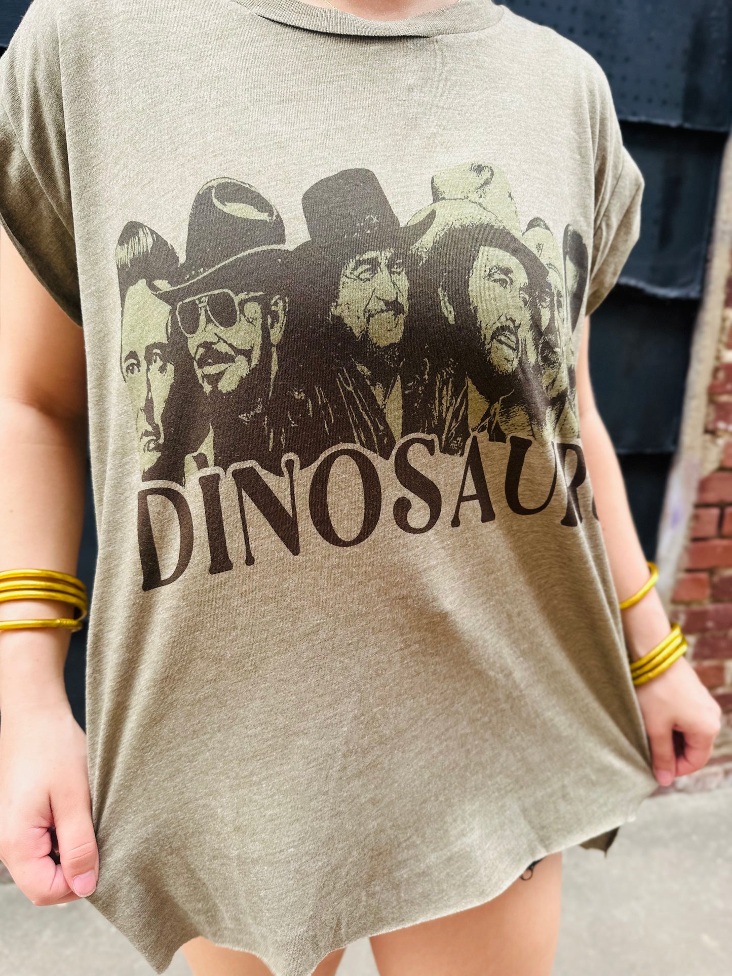 Dinosaurs Vintage Country Texas